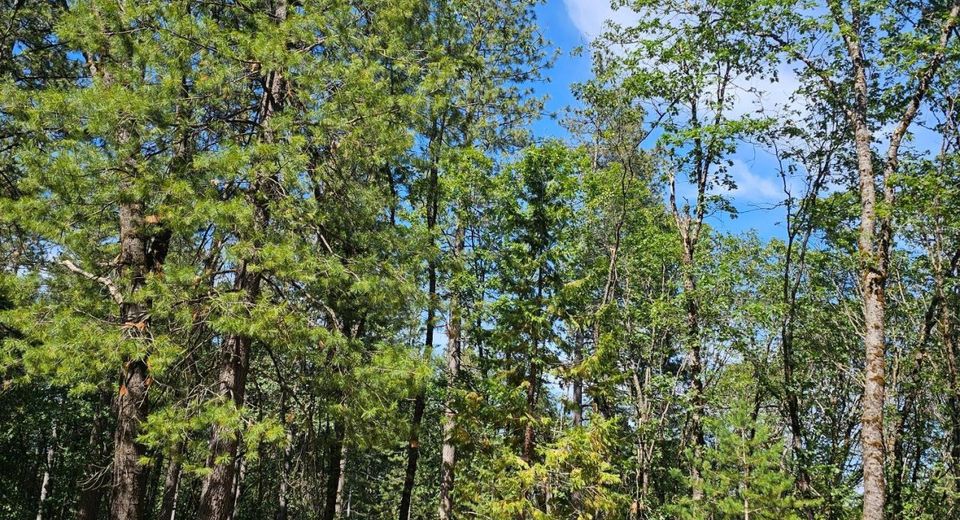 15367 Lakewood Ln, Grass Valley, CA 95945 Photo