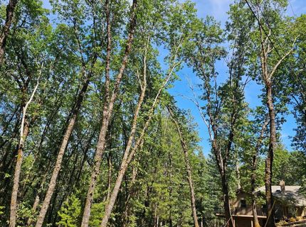 15367 Lakewood Ln, Grass Valley, CA 95945 Photo