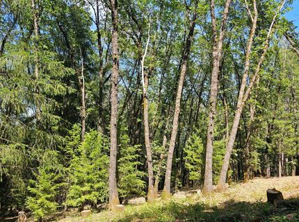 15367 Lakewood Ln, Grass Valley, CA 95945 Photo