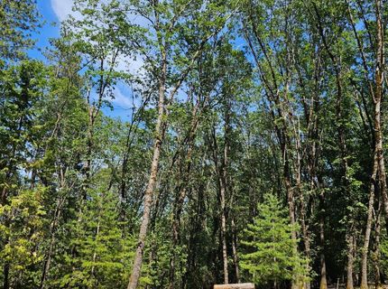 15367 Lakewood Ln, Grass Valley, CA 95945 Photo