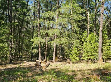 15367 Lakewood Ln, Grass Valley, CA 95945 Photo