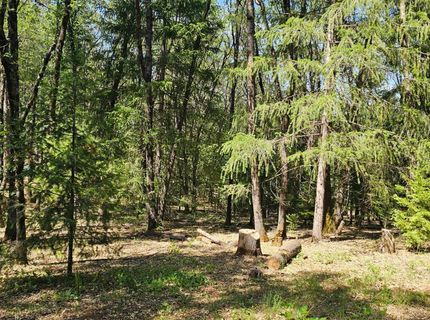 15367 Lakewood Ln, Grass Valley, CA 95945 Photo