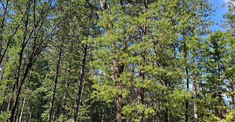 15367 Lakewood Ln, Grass Valley, CA 95945 Photo