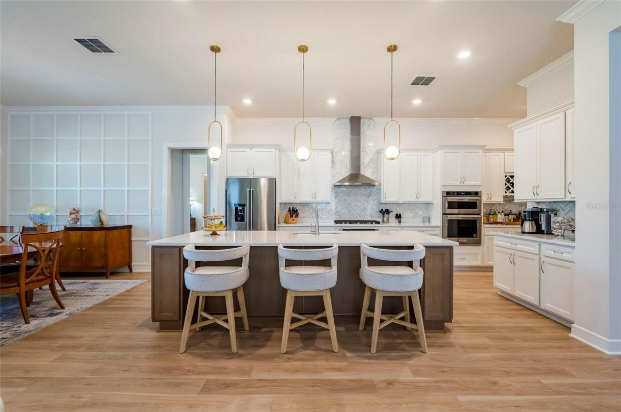 19133 Ship Wheel Way, Land O Lakes, FL 34638 Photo