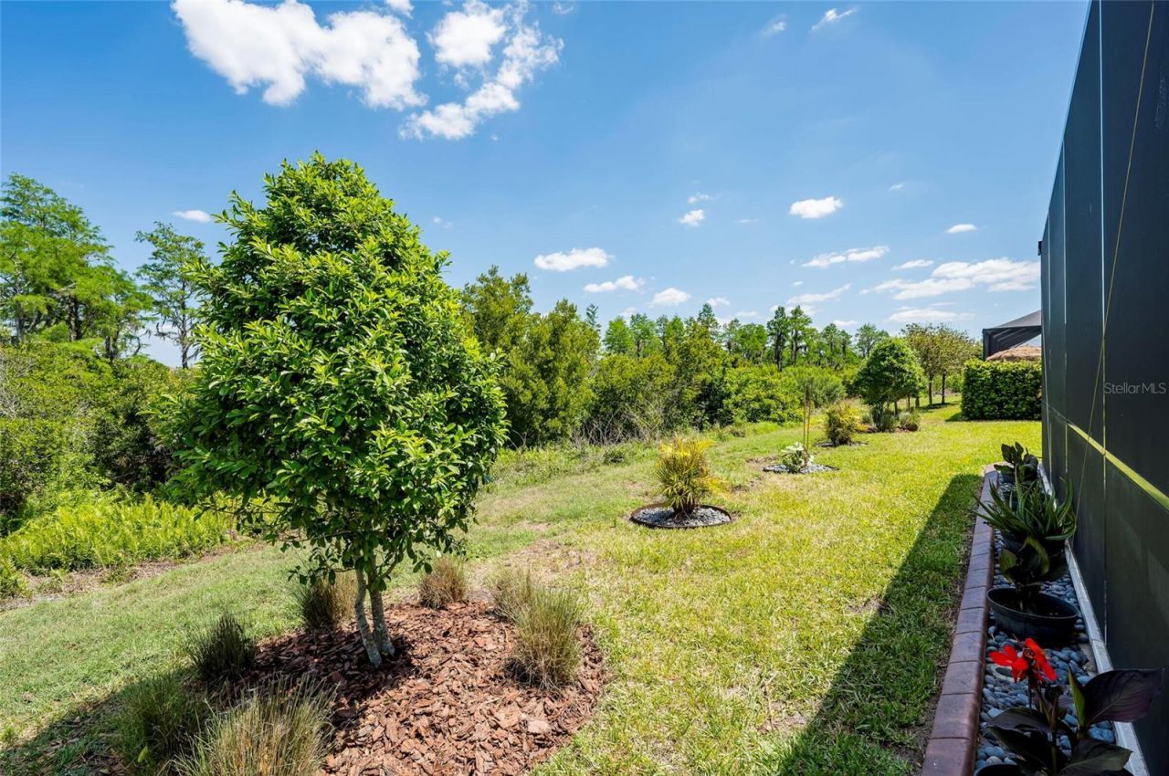 19133 Ship Wheel Way, Land O Lakes, FL 34638 Photo