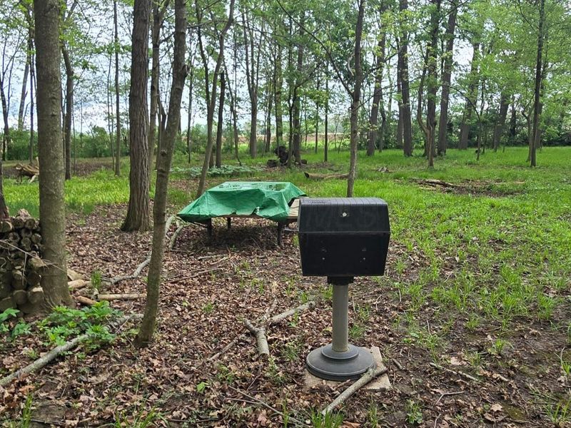 9421 Winchester Road, Groveport, OH 43125 Photo 17