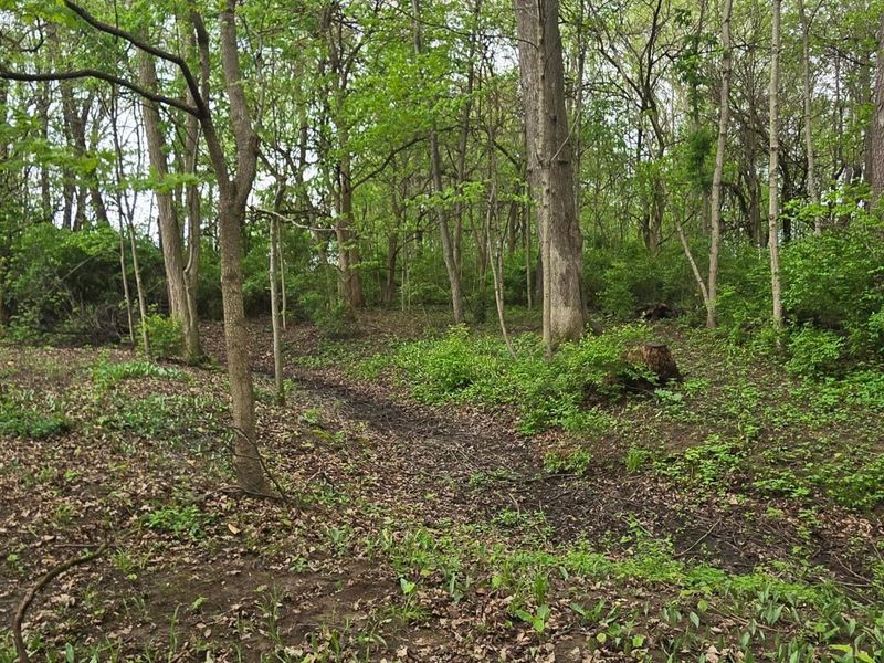 9421 Winchester Road, Groveport, OH 43125 Photo 46