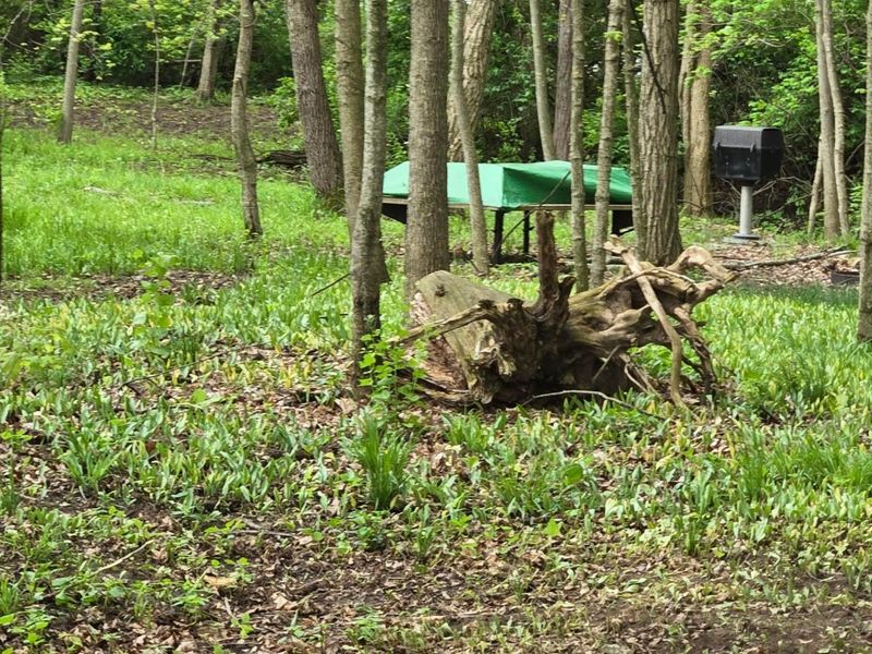 9421 Winchester Road, Groveport, OH 43125 Photo 47