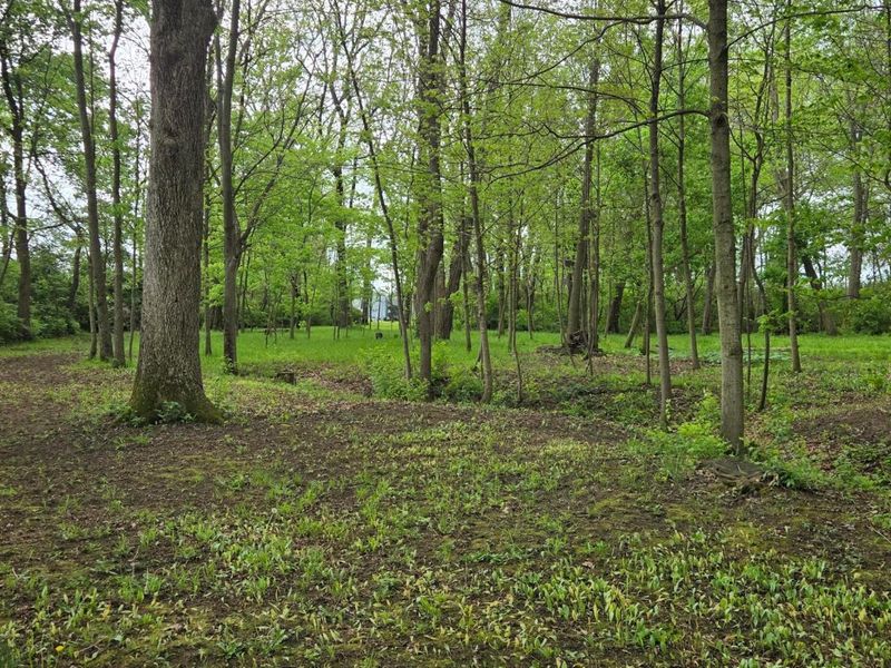 9421 Winchester Road, Groveport, OH 43125 Photo 48