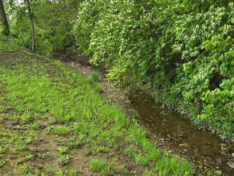 9421 Winchester Road, Groveport, OH 43125 Photo 49