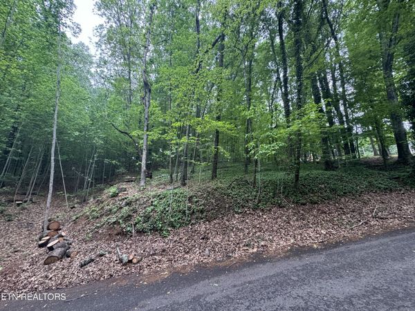 6816 Reddege Rd, Knoxville, TN 37918