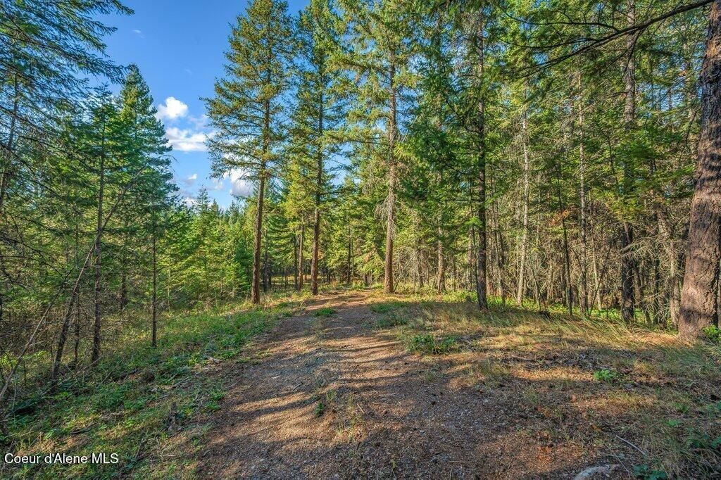 Nka E Son Shine Way, Athol, ID 83801 Main Photo
