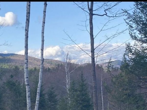 Lot 1 Fleming Road, Bethel, ME 04217