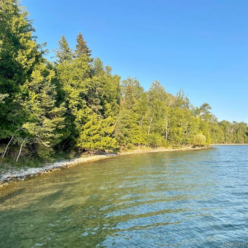 Vl Grand Island, Presque Isle Township, MI 49777 Main Photo
