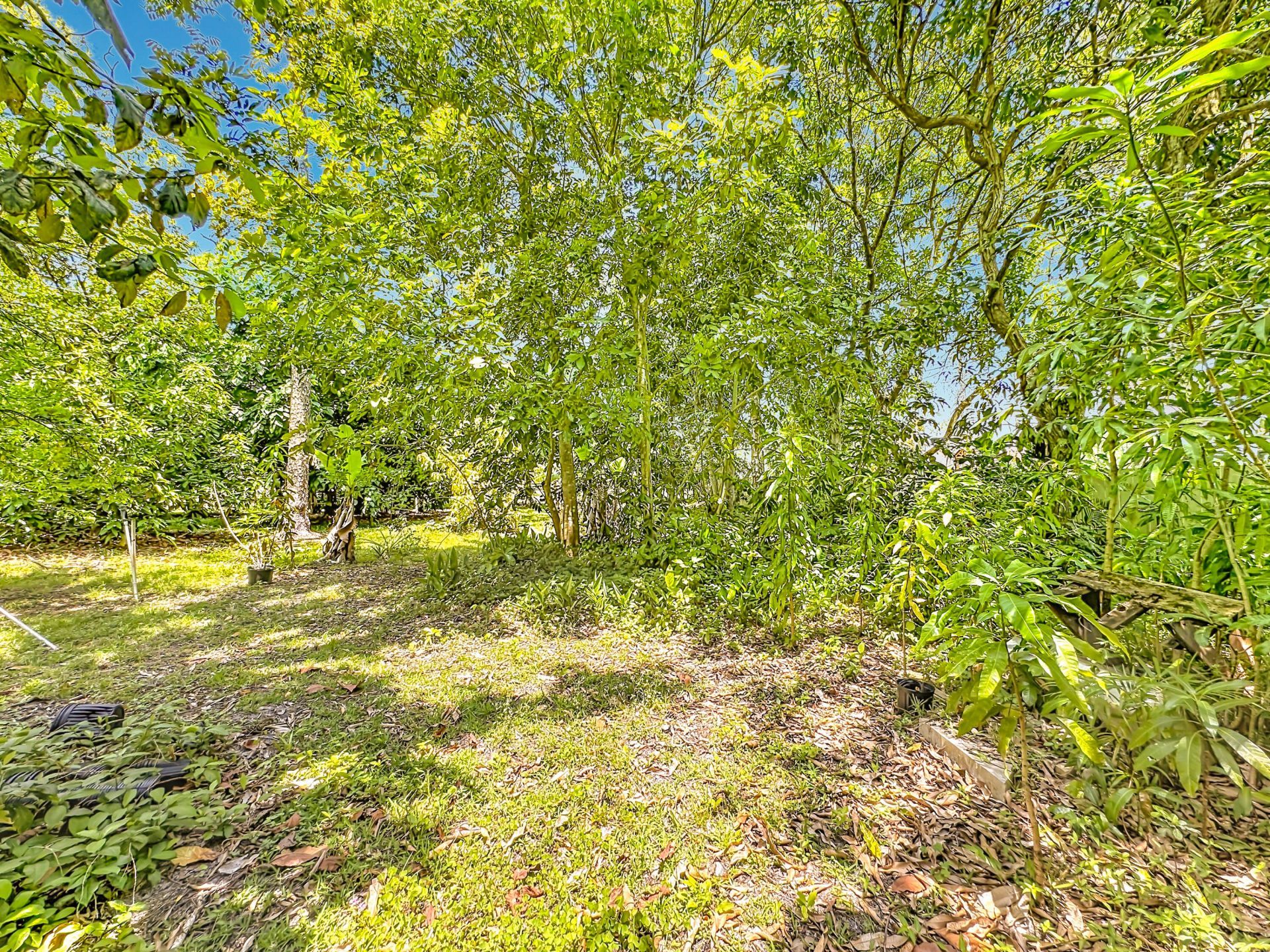 12821 N 86th Rd Road N, The Acreage, FL 33412 Photo