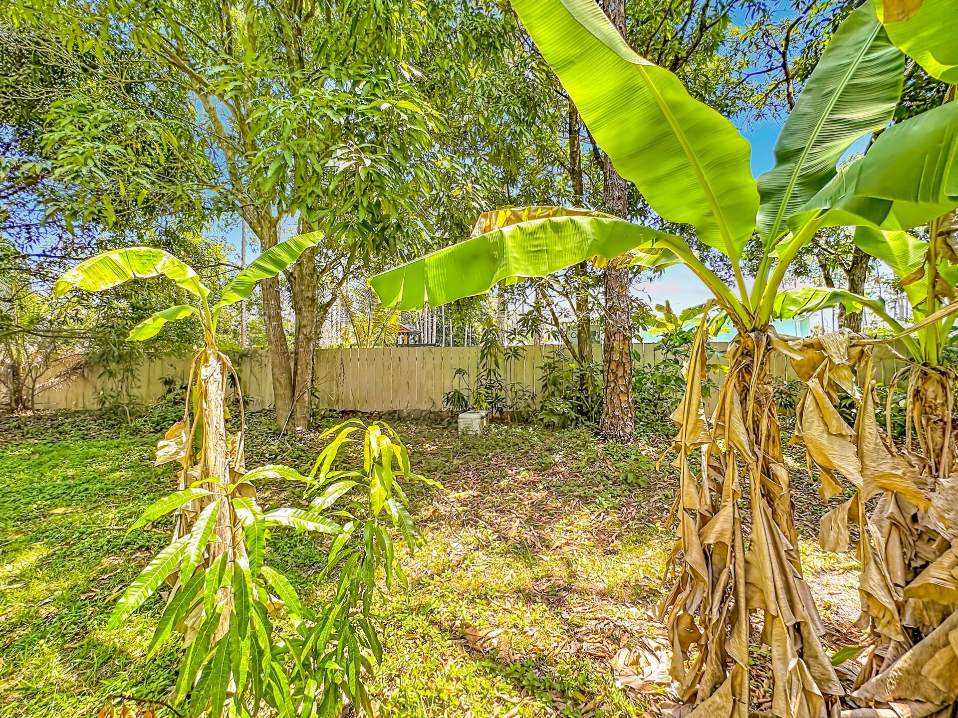 12821 N 86th Rd Road N, The Acreage, FL 33412 Photo