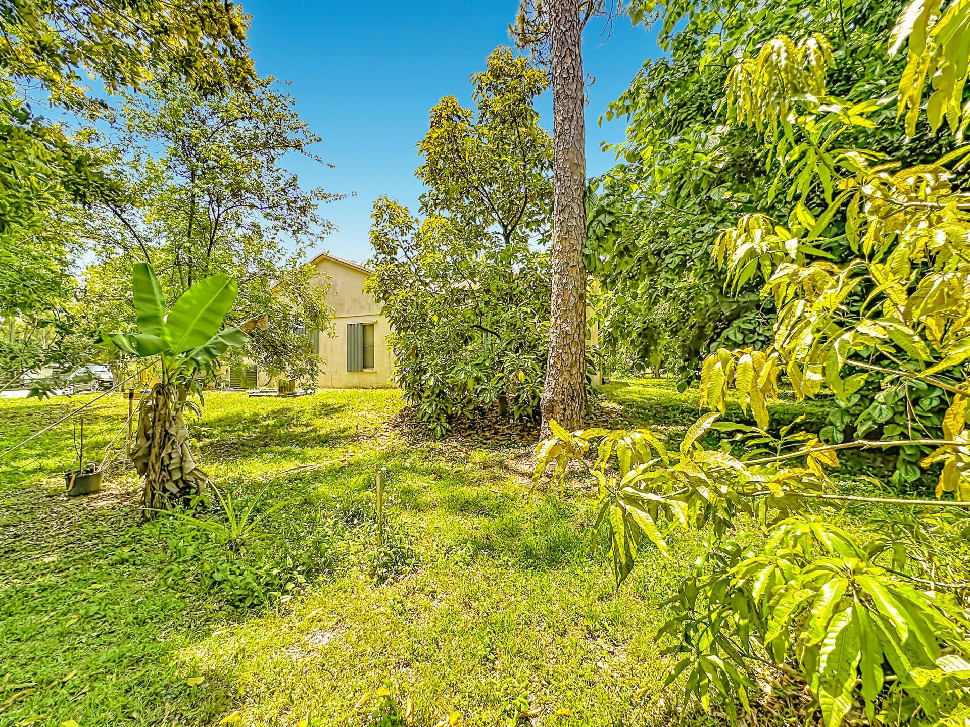 12821 N 86th Rd Road N, The Acreage, FL 33412 Photo