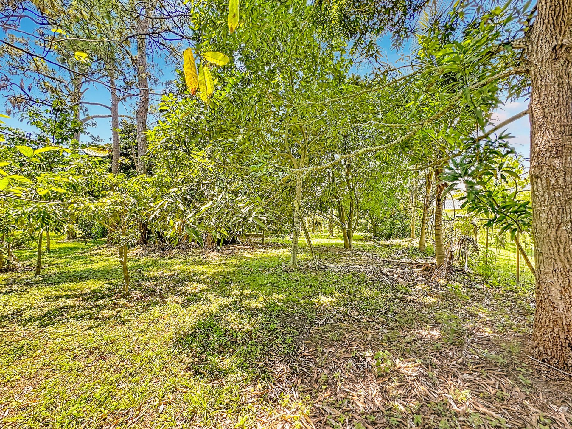 12821 N 86th Rd Road N, The Acreage, FL 33412 Photo