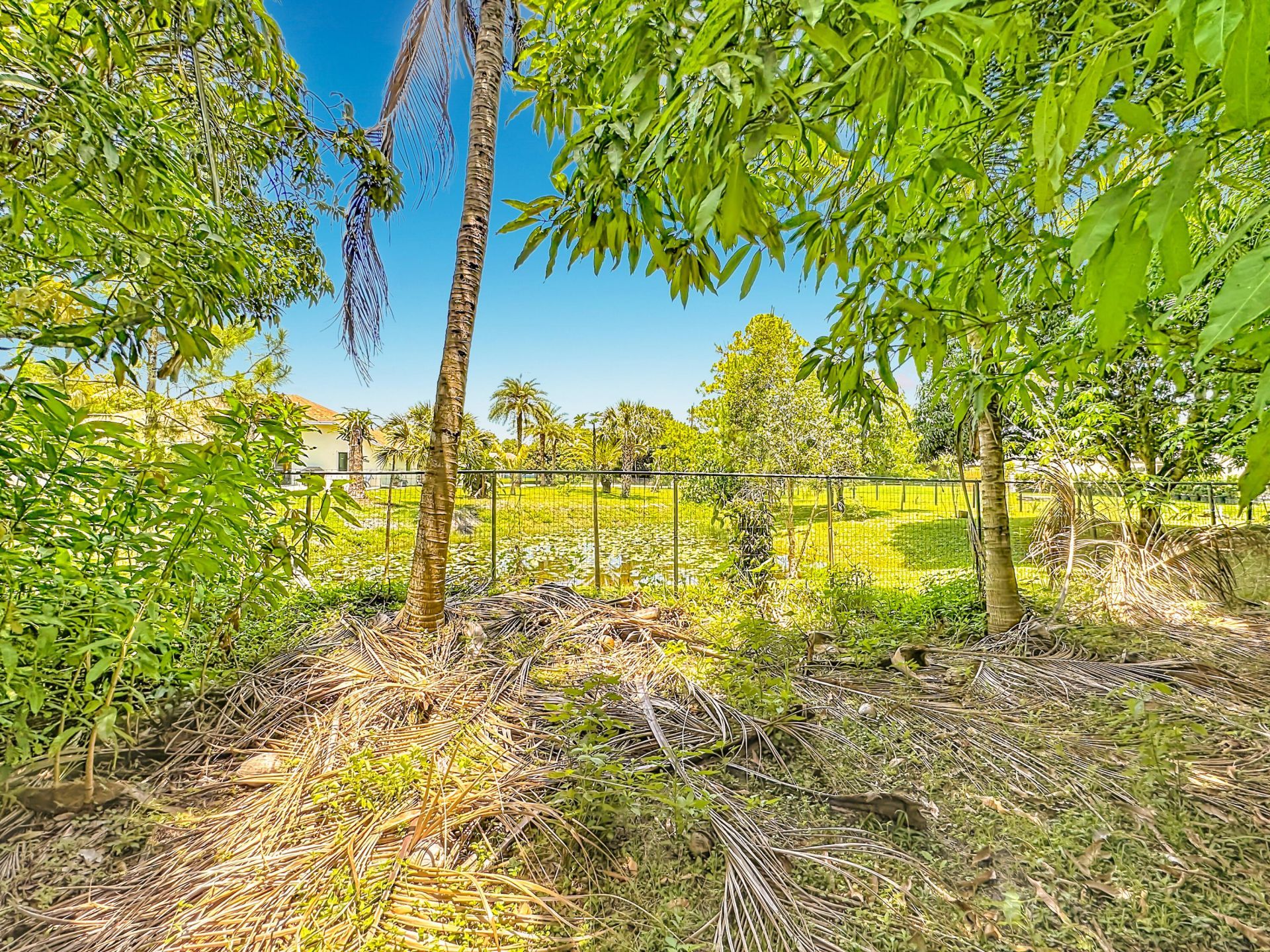12821 N 86th Rd Road N, The Acreage, FL 33412 Photo
