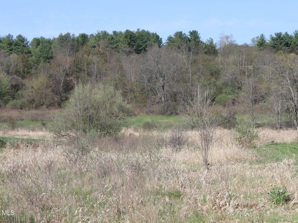 2-D Bullock Road, Slingerlands, NY 12159