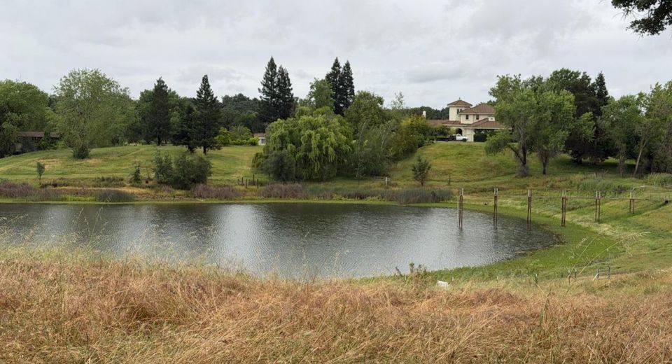 25045 N Mcintire Rd, Clements, CA 95227 Photo