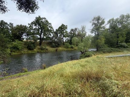 25045 N Mcintire Rd, Clements, CA 95227 Photo
