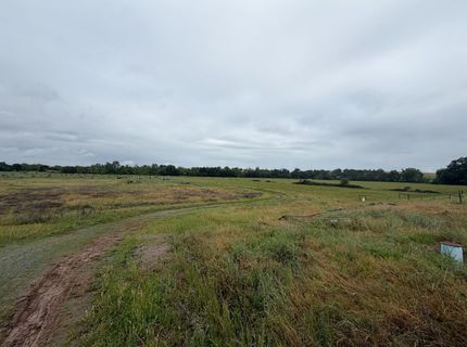 25045 N Mcintire Rd, Clements, CA 95227 Photo