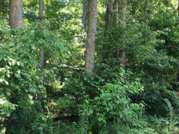 BOCK ROAD, OXON HILL, MD 20745
