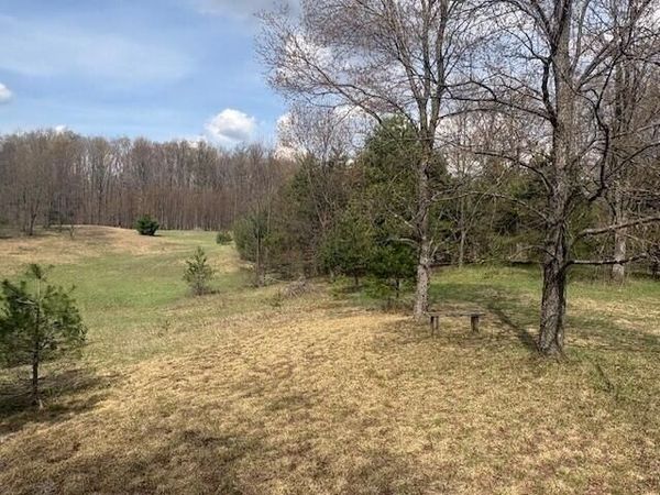 nn N Asplund Drive, Tustin, MI 49688