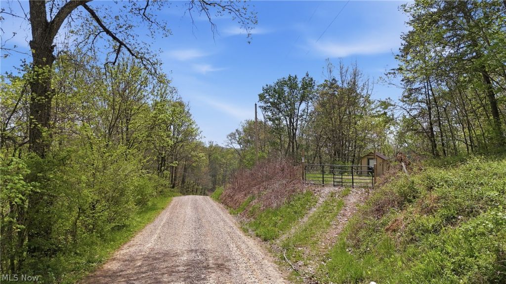 Beardmore Road, Wingett Run, OH 45789 Main Photo