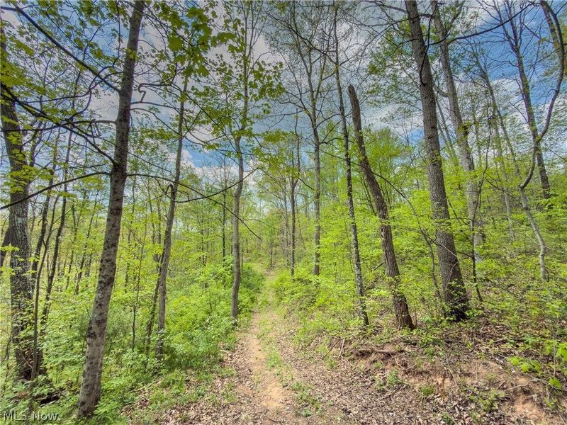 Beardmore Road, Wingett Run, OH 45789 Photo 21