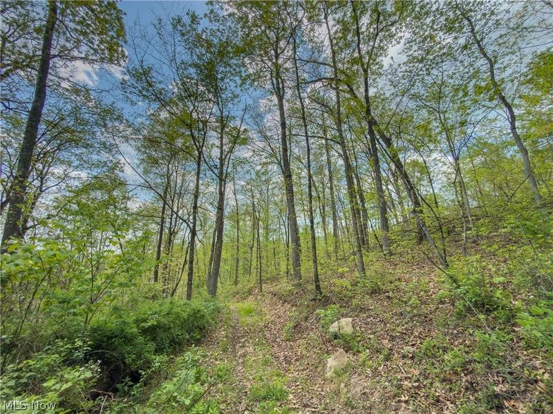 Beardmore Road, Wingett Run, OH 45789 Photo 22