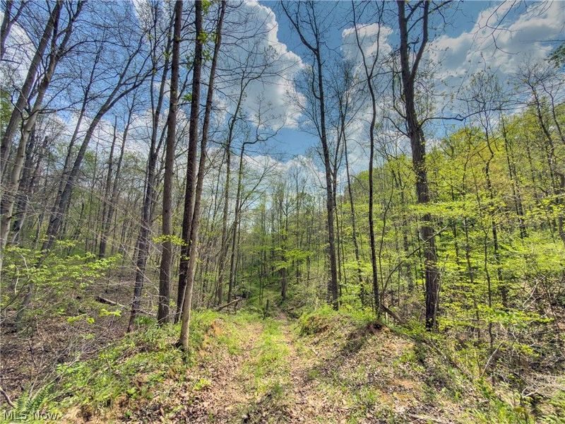 Beardmore Road, Wingett Run, OH 45789 Photo 24