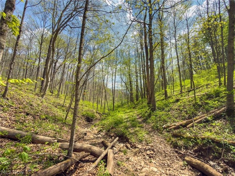 Beardmore Road, Wingett Run, OH 45789 Photo 25