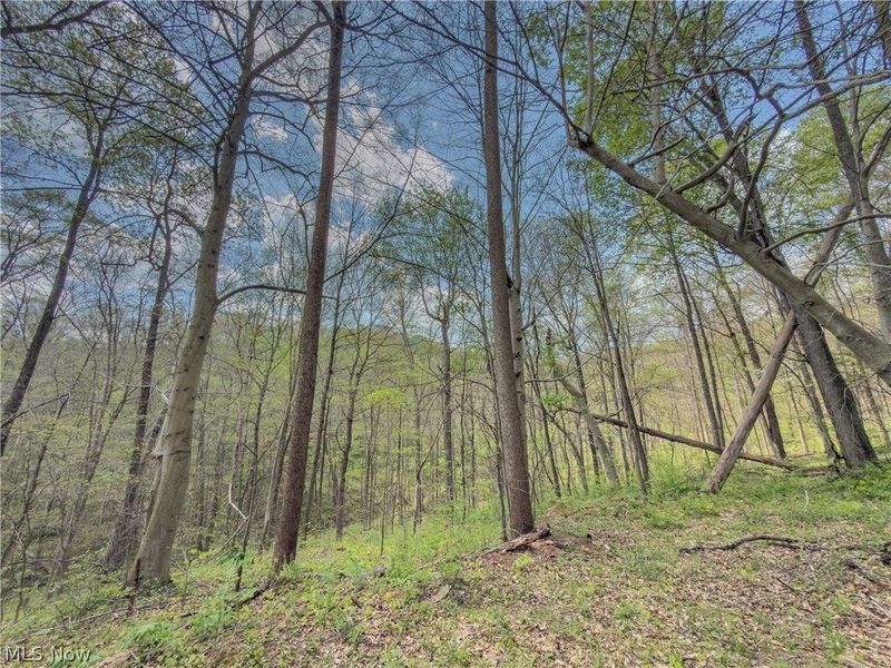 Beardmore Road, Wingett Run, OH 45789 Photo 32