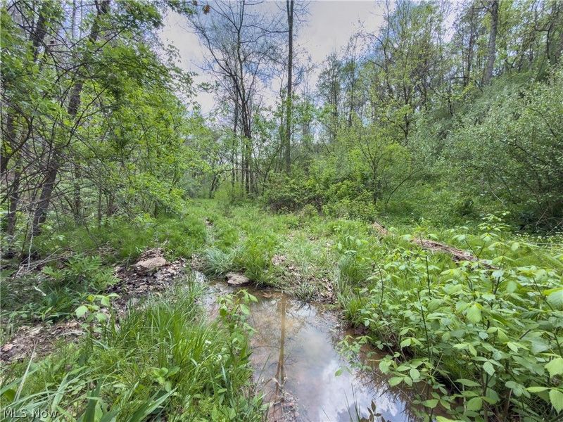 Beardmore Road, Wingett Run, OH 45789 Photo 34
