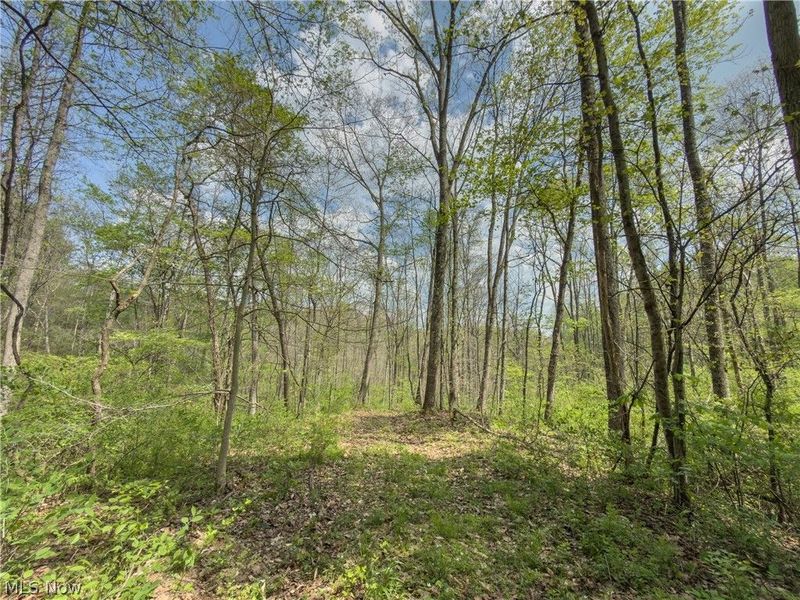 Beardmore Road, Wingett Run, OH 45789 Photo 36