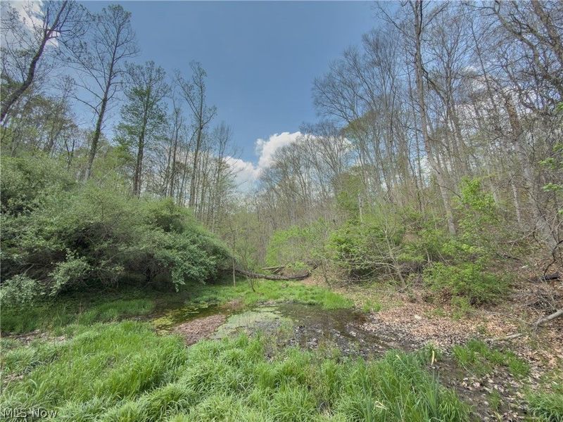 Beardmore Road, Wingett Run, OH 45789 Photo 37