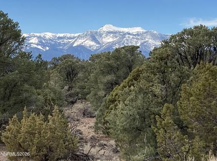 1330 Yellow Jacket Road, Reno, NV 89521 Photo