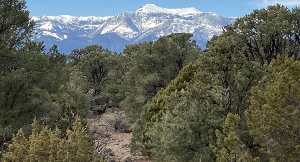 1330 Yellow Jacket Road, Reno, NV 89521 Photo