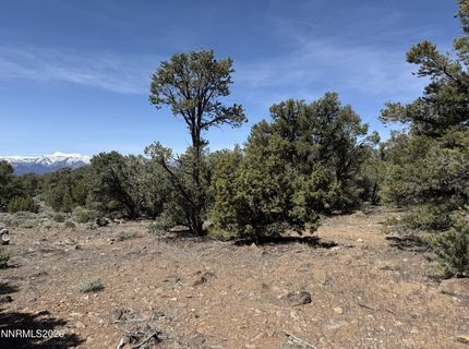 1330 Yellow Jacket Road, Reno, NV 89521 Photo