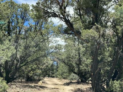 1330 Yellow Jacket Road, Reno, NV 89521 Photo