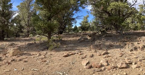 1330 Yellow Jacket Road, Reno, NV 89521 Photo