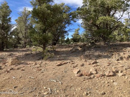 1330 Yellow Jacket Road, Reno, NV 89521 Photo