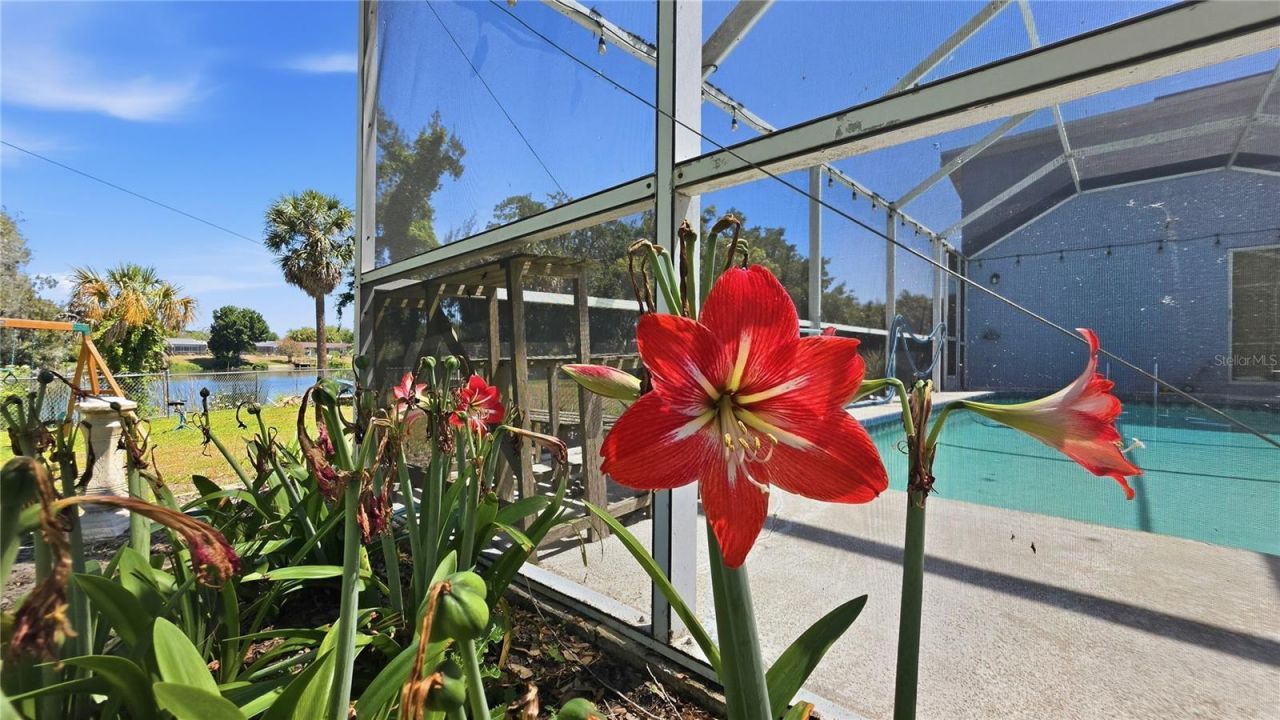 7203 Bramblewood Drive, Port Richey, FL 34668 Photo