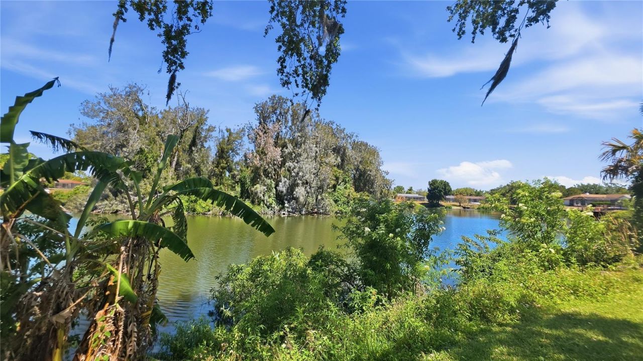 7203 Bramblewood Drive, Port Richey, FL 34668 Photo