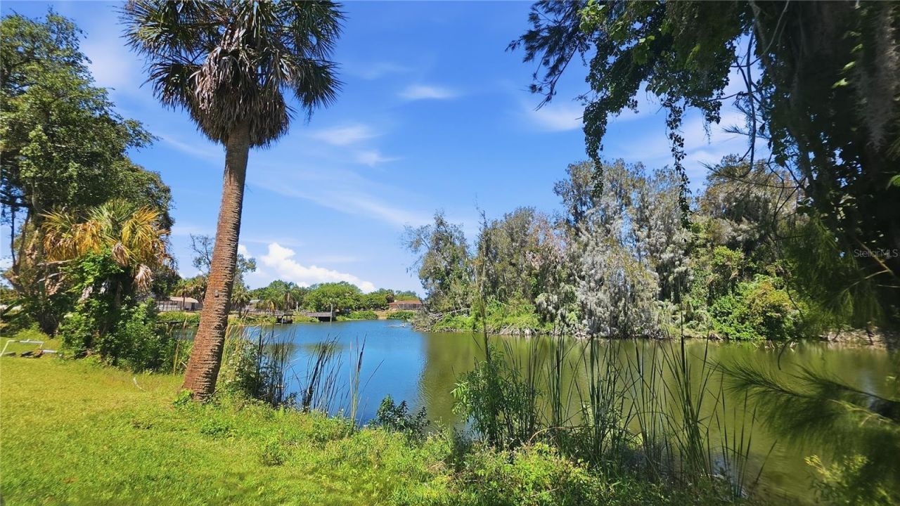 7203 Bramblewood Drive, Port Richey, FL 34668 Photo