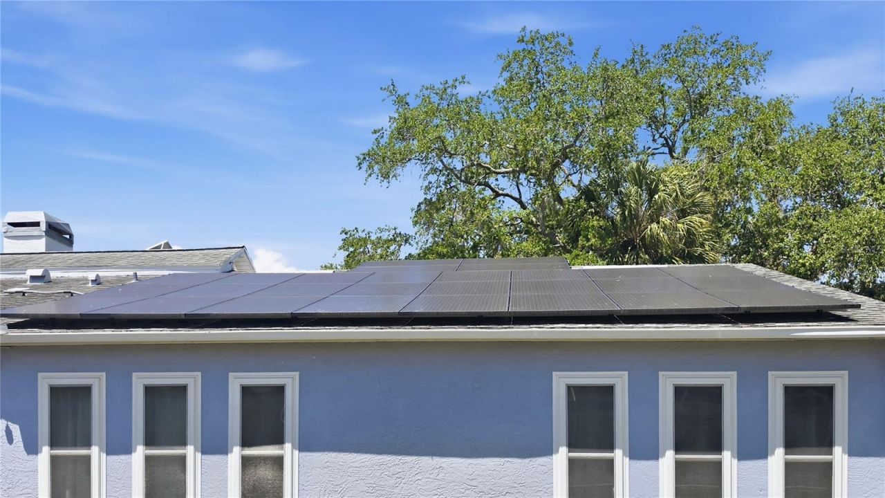 7203 Bramblewood Drive, Port Richey, FL 34668 Photo