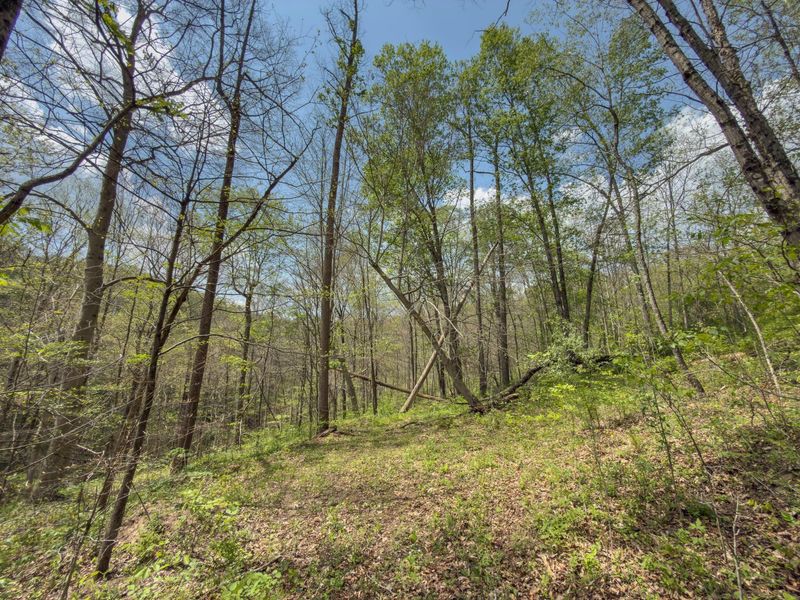 0 Beardmore Road, Jerusalem, OH 43747 Photo 31