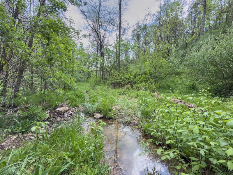 0 Beardmore Road, Jerusalem, OH 43747 Photo 34
